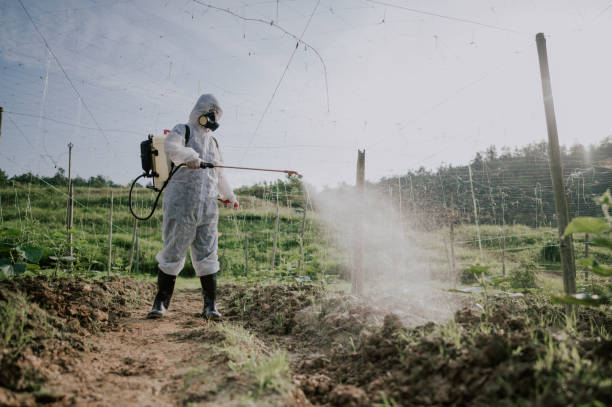 Best Best Pest Control Companies  in Farmville, NC