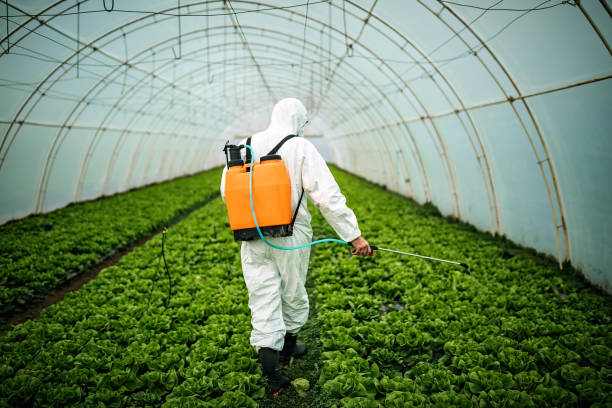 Best Pest Prevention Services  in Farmville, NC