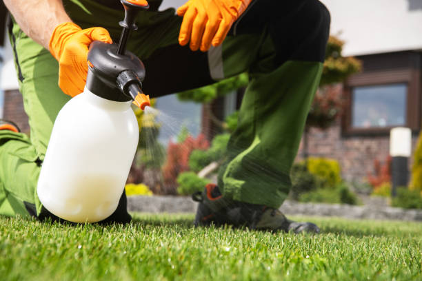 Trusted Farmville, NC Pest Control Experts
