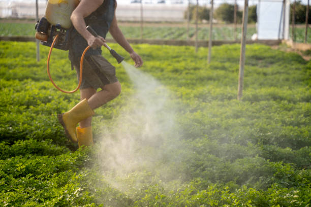 Best Commercial Pest Control Services  in Farmville, NC