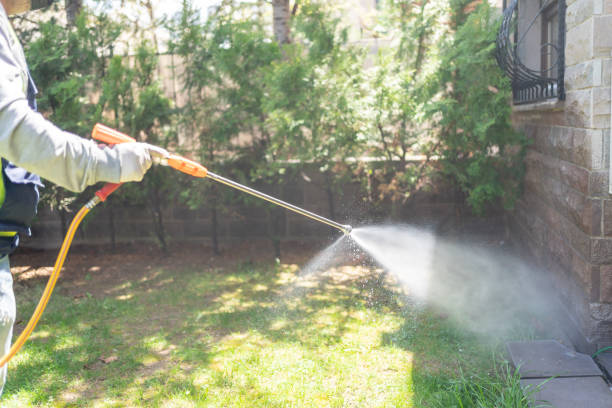 Best Wasp Removal Services  in Farmville, NC