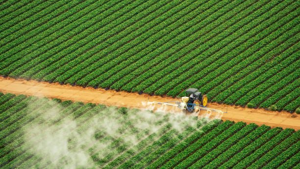  Farmville, NC Pest Control Pros